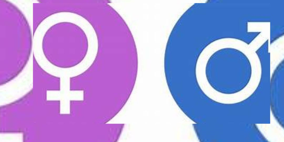 selbstbestimmungsgesetz selbstbestimmungsgesetz