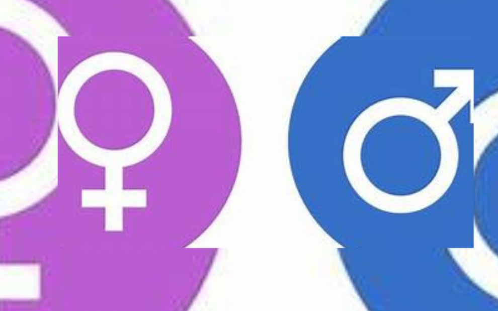 selbstbestimmungsgesetz