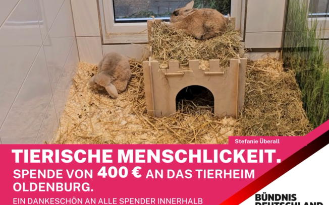 2025 01 20 tierische menschlichkeit